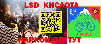 гашик Кандалакша