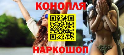 гашик Кандалакша