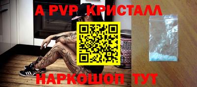 a pvp Камышлов