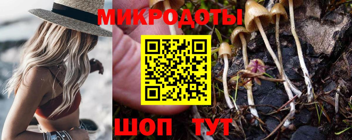 Псилоцибиновые грибы Psilocybe  Галлюциногенные грибы Cubensis  Вход с VPN  Волхов 