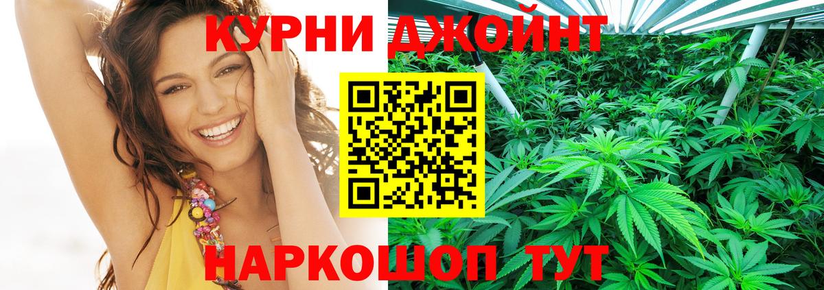 МАРИХУАНА VHQ  Вход с VPN  Шишки марихуана VHQ  Канабис White Widow  Волхов  Бошки марихуана MAZAR 